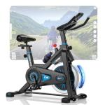 DMASUN Quiet Magnetic Resistance Spin Bike
