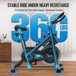 DMASUN Quiet Magnetic Resistance Spin Bike