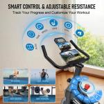 DMASUN Quiet Magnetic Resistance Spin Bike