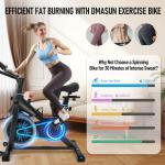 DMASUN Quiet Magnetic Resistance Spin Bike