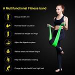 4-Pack Resistance Bands with Door Anchor for Workouts