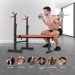 Adjustable Folding Weight Bench with Dip Station