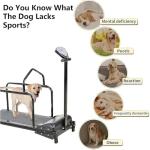 Adjustable Dog Treadmill with Pedometer for Fitness