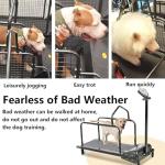 Adjustable Dog Treadmill with Pedometer for Fitness