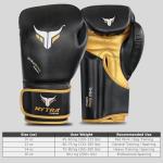 Mytra Fusion Boxing Gloves for Kickboxing & MMA