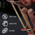 TheraBand CLX Latex-Free Resistance Band – 11 Loops
