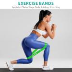 Viyafit Resistance Loop Bands Set for Fitness