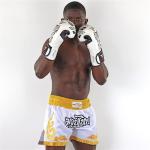 Mytra Fusion Kickboxing Gloves for Training