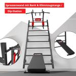 K-Sport Home Fitness Wall Bars and Dip Station