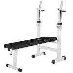 GORILLA SPORTS® Adjustable Weight Bench & Dip Station