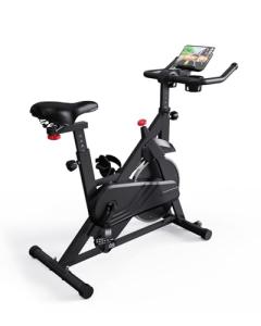 Lacuffy Magnetic Indoor Exercise Bike with LCD Display