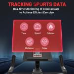 DMASUN Super Quiet Magnetic Indoor Exercise Bike