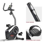 Sunny Health & Fitness Magnetic Recumbent Exercise Bike
