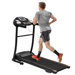 Merax Folding Electric Treadmill with Bluetooth and Monitor