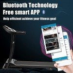 Merax Folding Electric Treadmill with Bluetooth and Monitor