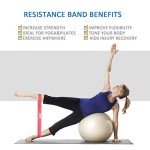 Resistance Loop Bands Set – Home Fitness Workout