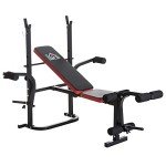 Adjustable Weight Bench with Leg Developer for Home Gym