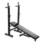 Adjustable Weight Bench with Dip Station & Rack
