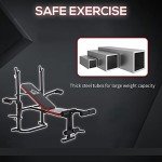 Adjustable Weight Bench with Leg Developer for Home Gym
