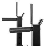 Adjustable Weight Bench with Dip Station & Rack