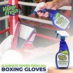 Vapor Fresh Natural Sports Gear Deodorizing Spray 3-Pack