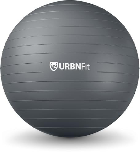 URBNFit 65CM Anti-Burst Exercise Ball with Pump