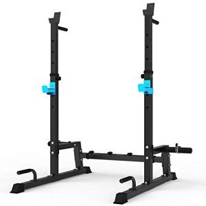 Adjustable Multi-Function Squat Rack and Dip Stand