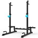 Adjustable Multi-Function Squat Rack and Dip Stand