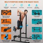 Adjustable Multi-Function Squat Rack and Dip Stand