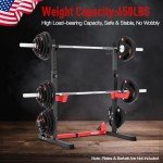 HARISON Adjustable Heavy Duty Squat and Bench Rack
