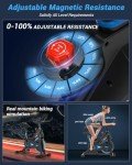 DMASUN Quiet Magnetic Resistance Exercise Bike with LCD