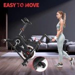 DMASUN Quiet Magnetic Exercise Bike for Home Gym