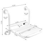 Folding Wall-Mounted Shower Seat with Grab Bar