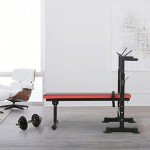 Adjustable Weight Bench with Barbell Rack & Dip Station