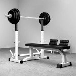 Adjustable Squat Rack & Dip Station for Home Gym