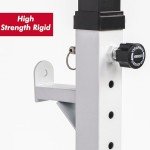 Adjustable Squat Rack & Dip Station for Home Gym