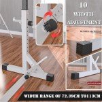 Adjustable Squat Rack & Dip Station for Home Gym