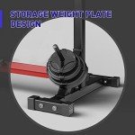 Holleyweb Adjustable Squat and Bench Press Rack