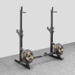 Adjustable Squat Rack with Dip Bars & Spotters