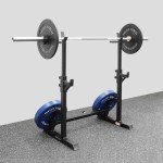 Adjustable Squat Rack with Dip Bars & Spotters