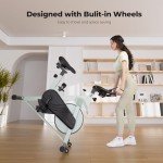 Lacuffy Magnetic Indoor Exercise Bike with LCD Display