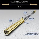 E.T. Energic 7ft Olympic Barbell - 1500LB Capacity
