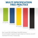 WHILIERA 5-Piece Resistance Bands Set for Workouts