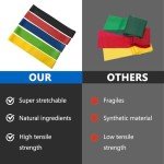 WHILIERA 5-Piece Resistance Bands Set for Workouts