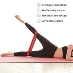 Core Sliders with Resistance Loop Bands Set