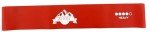 ALIYSH Skin-Friendly Resistance Bands Set of 5