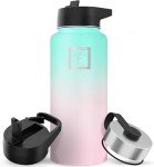 Insulated Stainless Steel Water Bottle with Straw