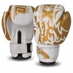 Gold 6oz Boxing Gloves for Training and Sparring