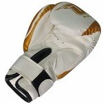 Gold 6oz Boxing Gloves for Training and Sparring