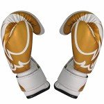 Gold 6oz Boxing Gloves for Training and Sparring
